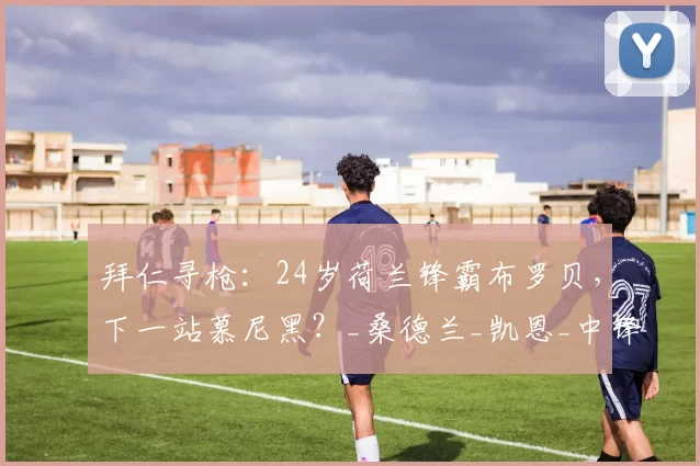 拜仁寻枪：24岁荷兰锋霸布罗贝，下一站慕尼黑？_桑德兰_凯恩_中锋