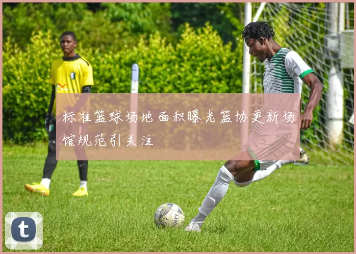 标准篮球场地面积曝光篮协更新场馆规范引关注