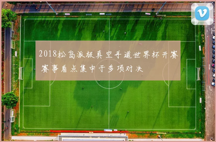 2018松岛派极真空手道世界杯开赛 赛事看点集中于多项对决